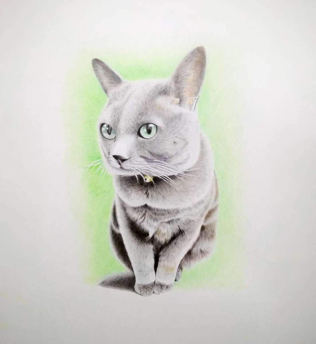 猫の色鉛筆画