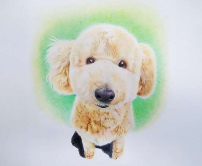 犬の色鉛筆画